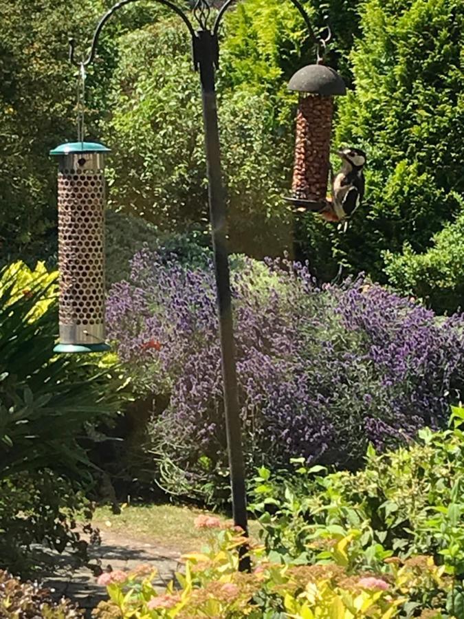 Entire Guest House, In Pewsey Vale, Wiltshire Manningford Abbots エクステリア 写真